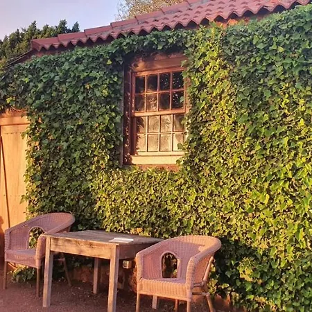 Casa Palmera