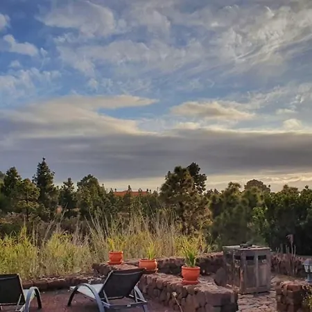 Holiday home Casa Palmera