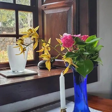 Casa Palmera Holiday home