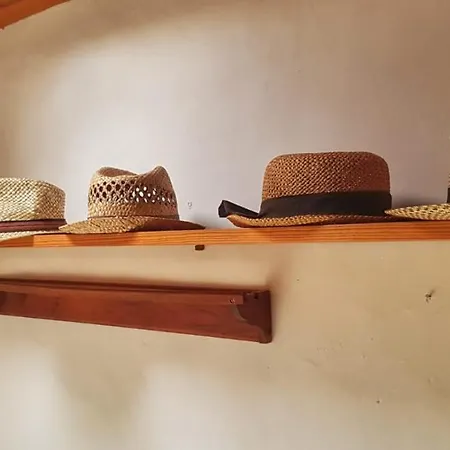 Casa Palmera *