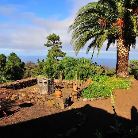 Casa Palmera *