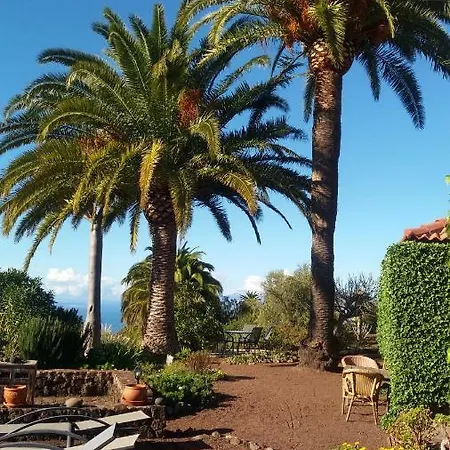 Casa Palmera