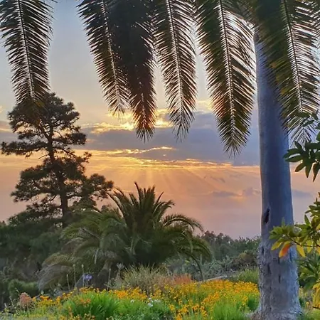 Casa Palmera Vakantiehuis